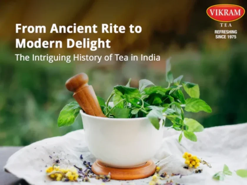 The Fascinating History of Tea in India – From Ancient Rituals to Modern Delight