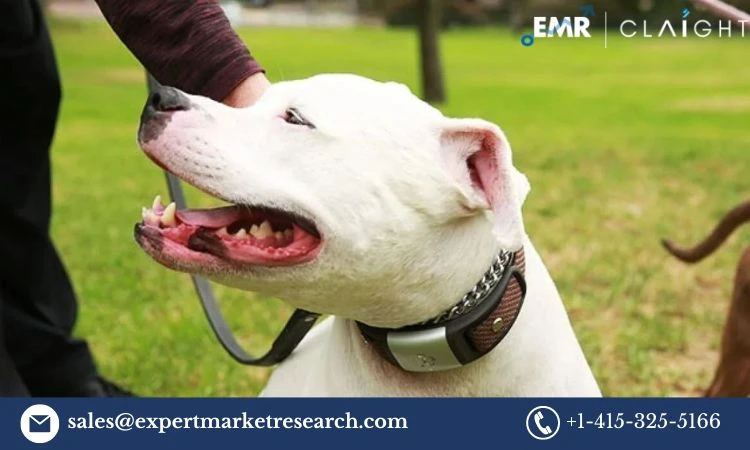 Pet Wearable Market Share, Size, Growth & Trends by 2034