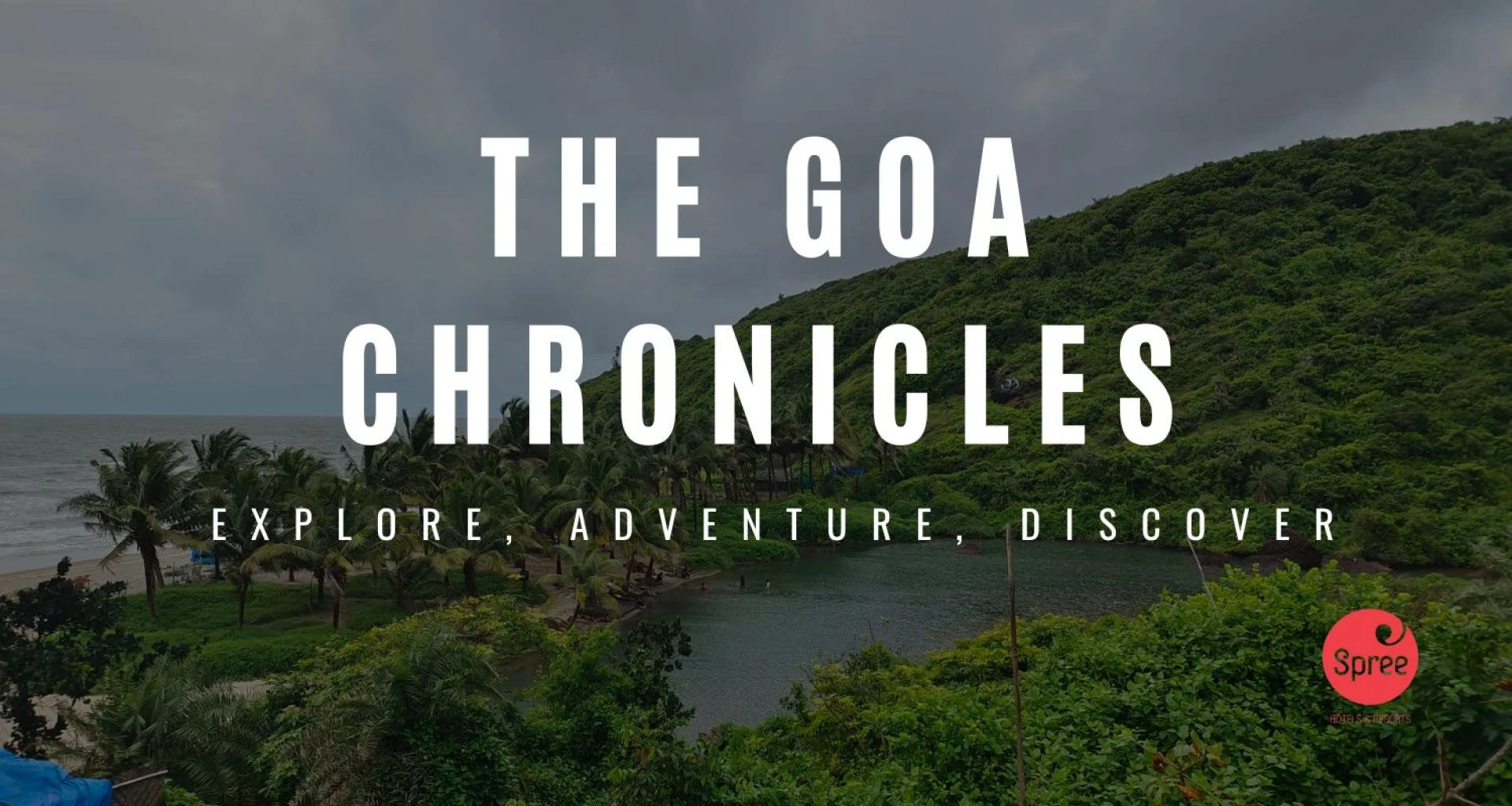 Draft: My Post TitleThe Goa Chronicles: Explore, Adventure, Discover