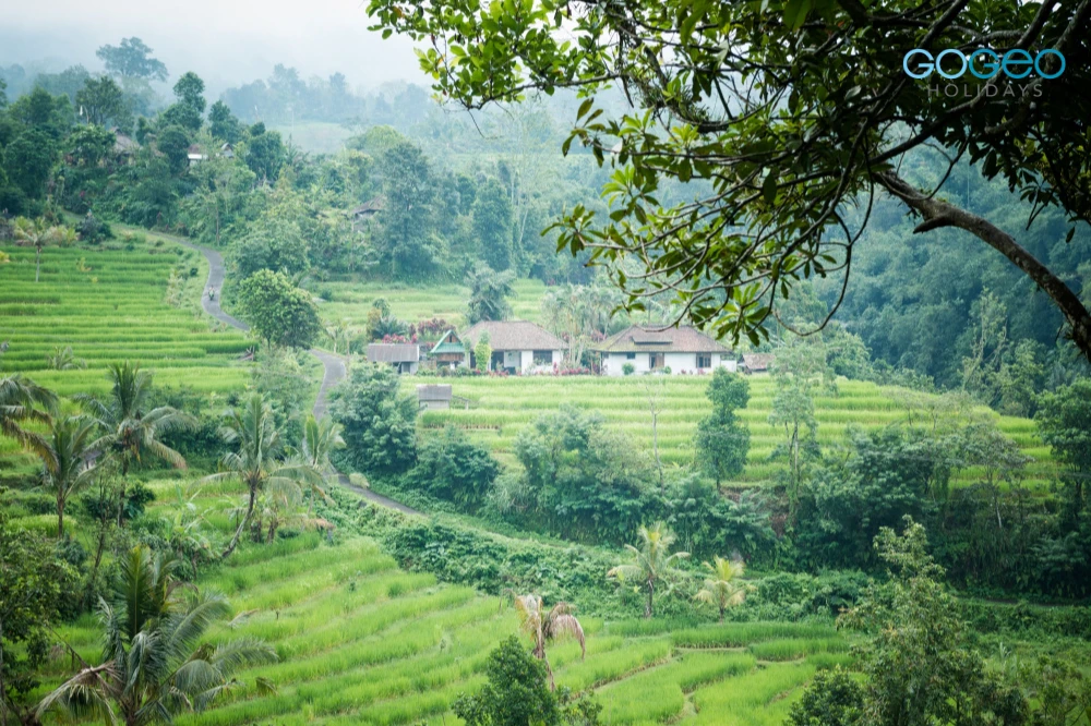 Planning a Kerala Trip? Discover the Magic of Munnar, Cochin, and Alleppey with the Top Tour Package
