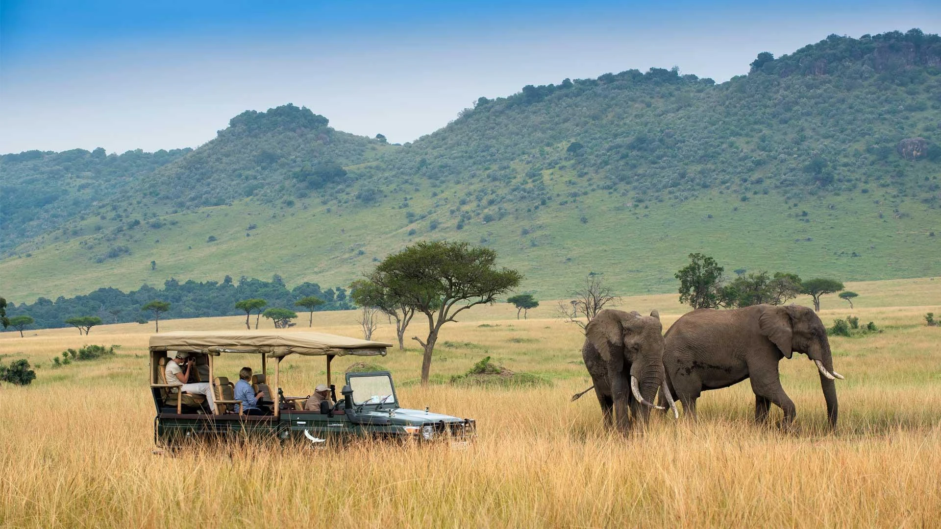 How to Book and Enjoy an Unforgettable Masai Mara Safari Experience
