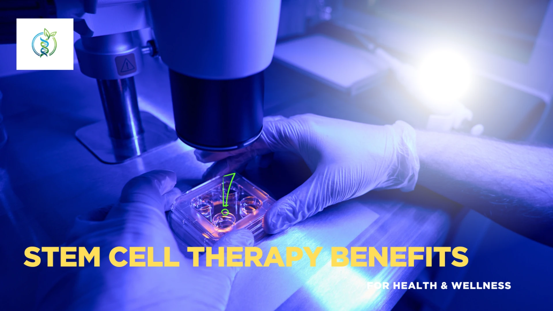 Stem Cell Therapy Benefits
