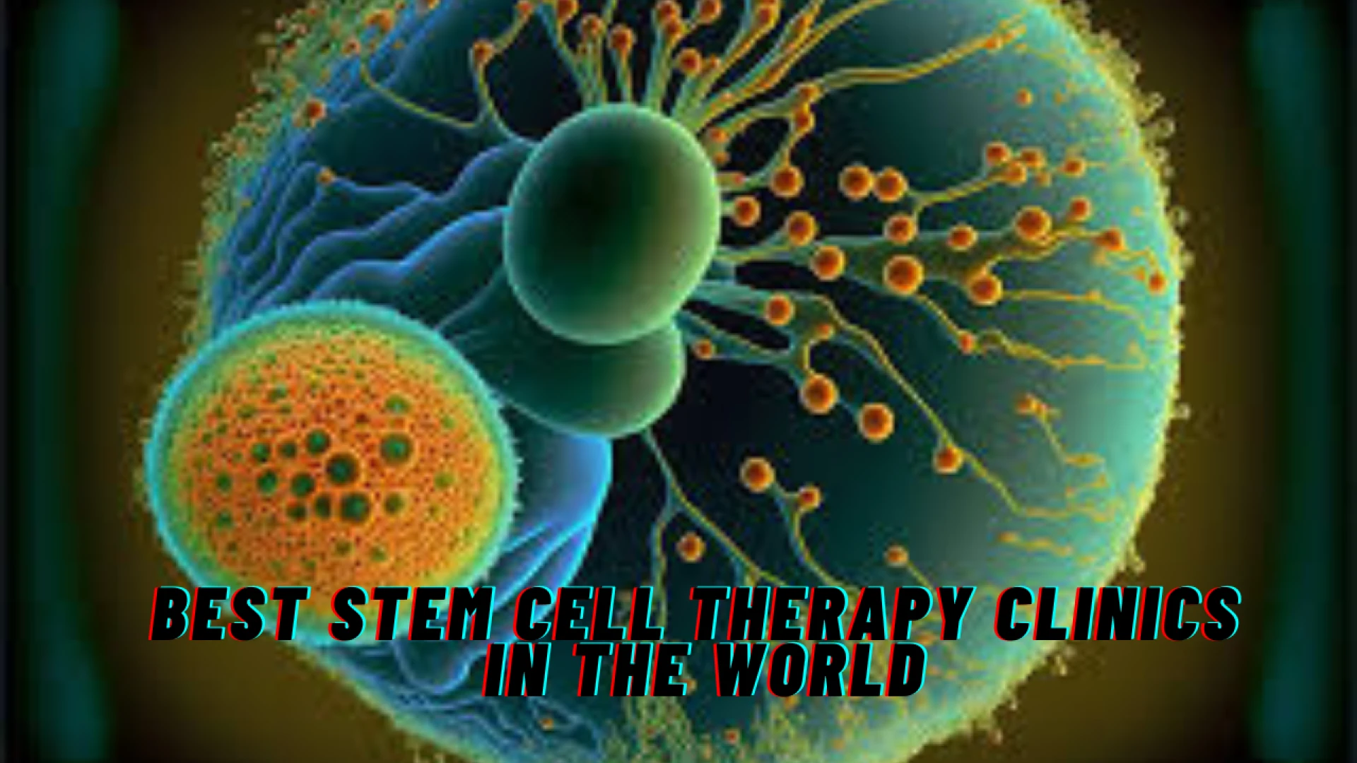 Best Stem Cell Therapy Clinics in the World