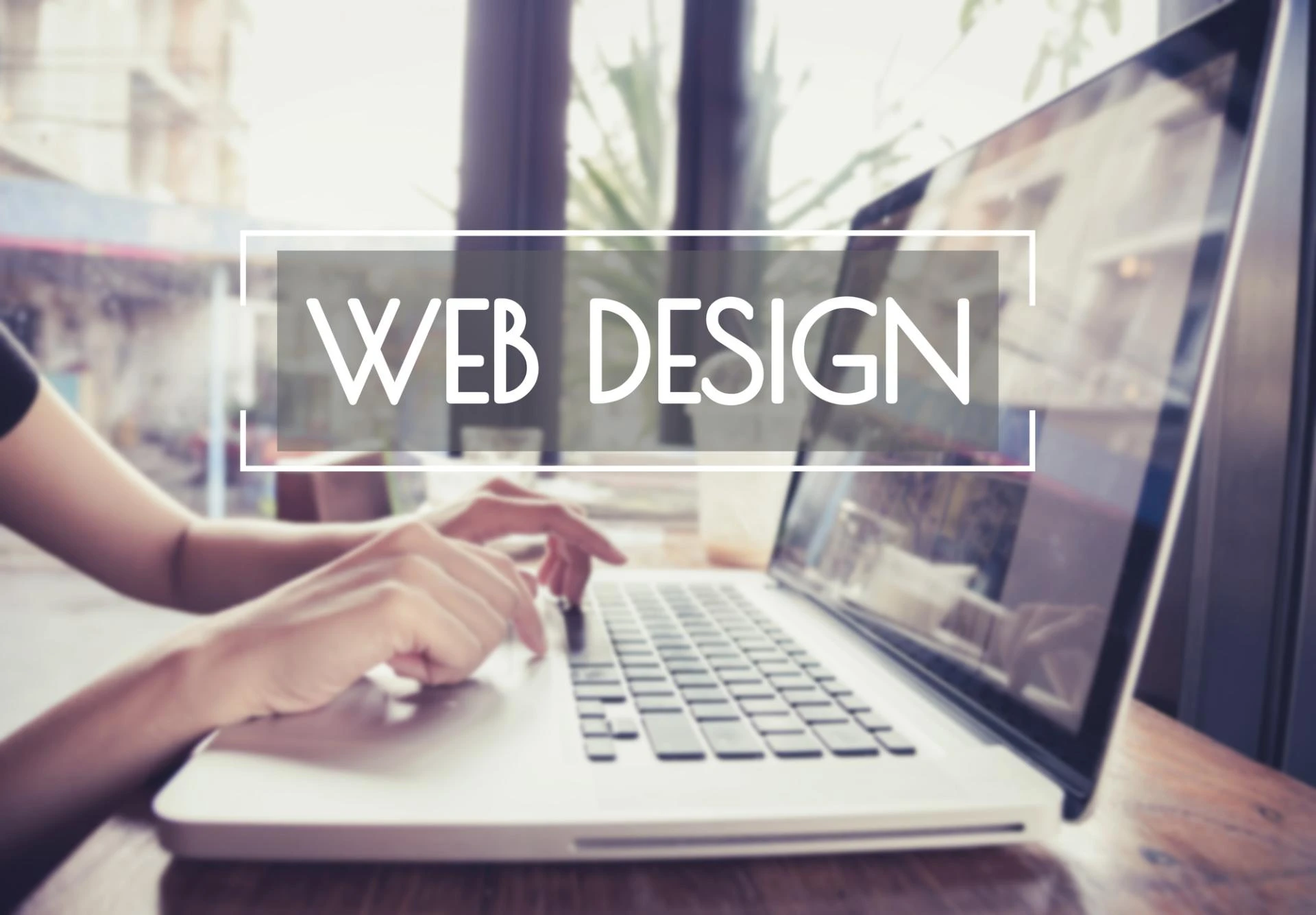 Business-Focused Web Design Agency in Noida - Get Noticed