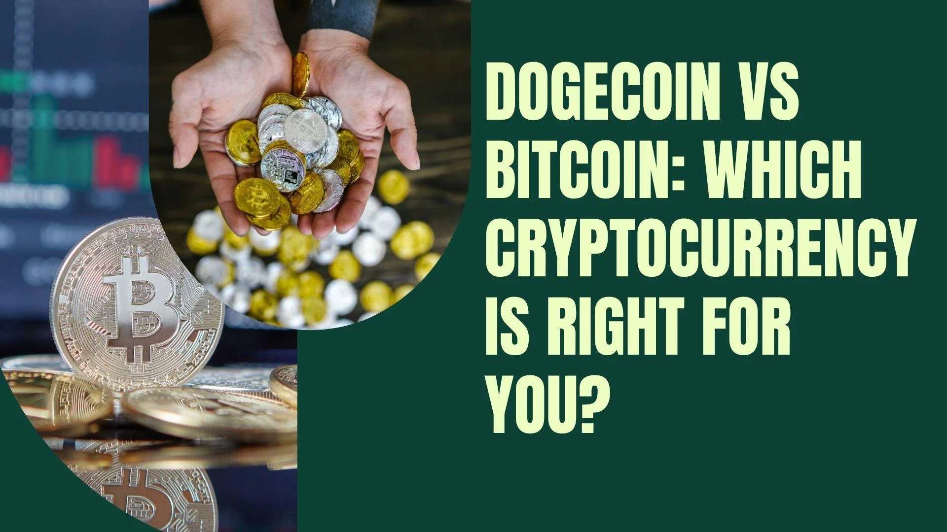 Dogecoin vs Bitcoin: Which Cryptocurrency is Right for You?