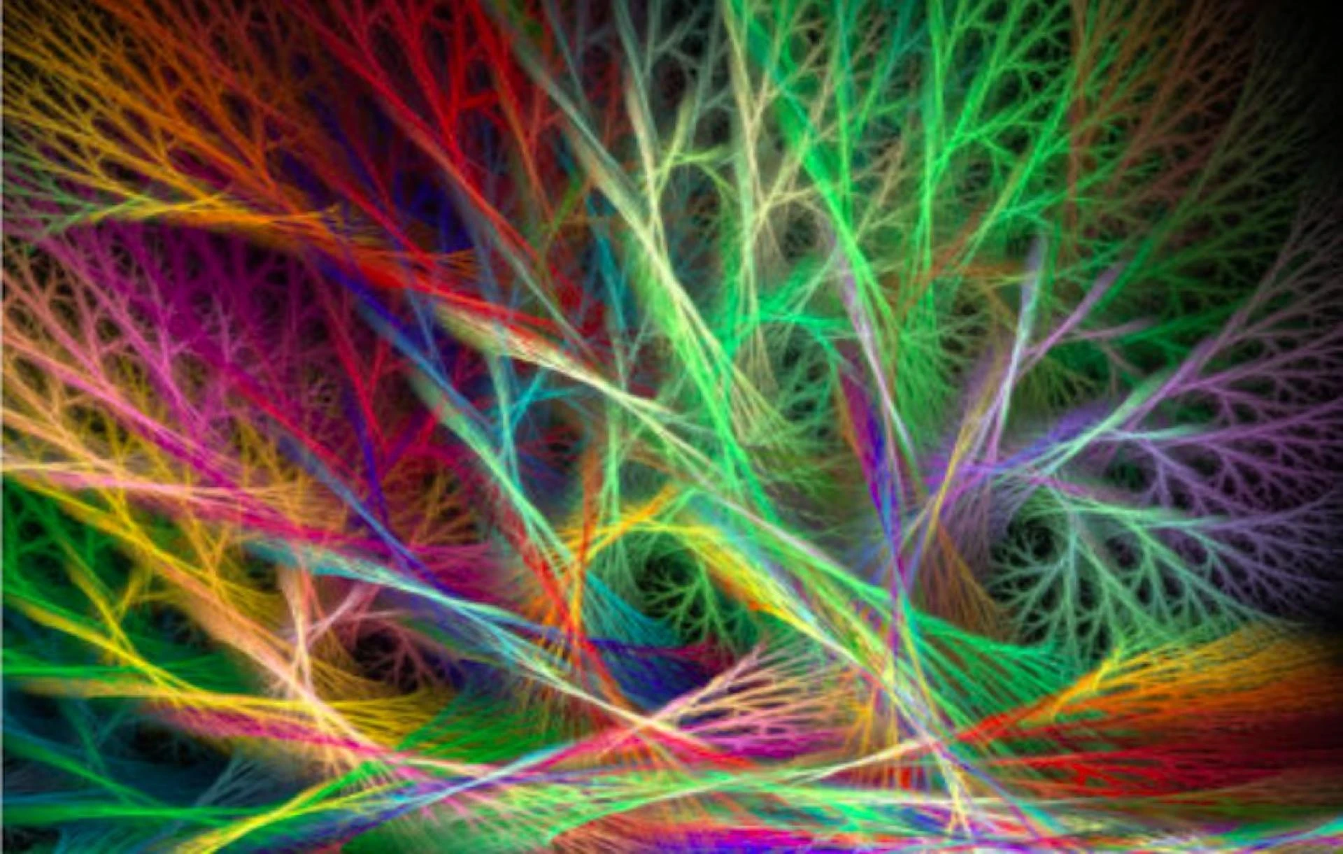 The Intersection of Fashion and Art: NYC’s Most Influential Magazines