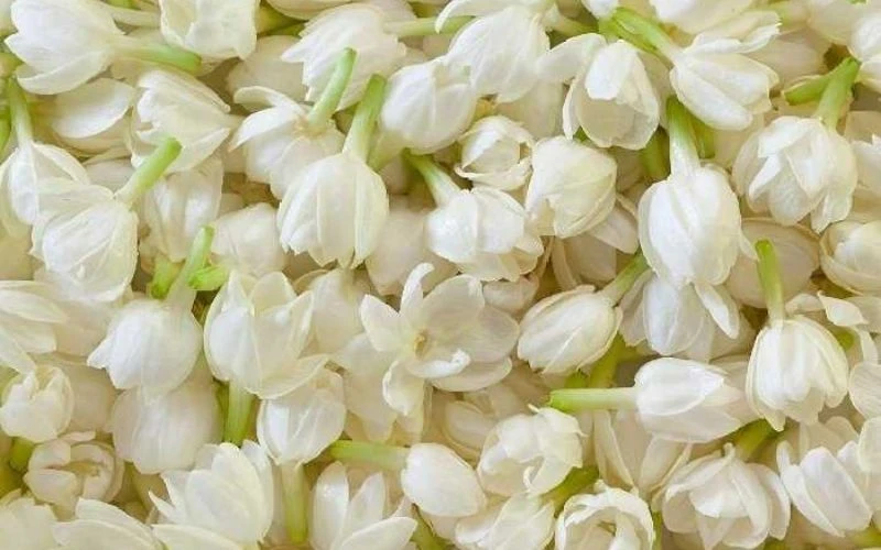 bi kip bat cau xo so mien trung hom nay