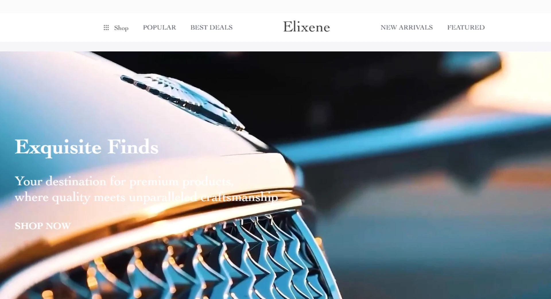 Exilene: The Premium Online Shopping Hub Of Exquisite Living Essentials