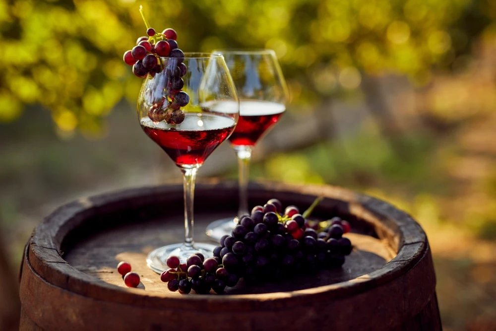 Red Wine Revelations: Exploring the Bold Flavors of Pinot, Shiraz, and Cab Sauv