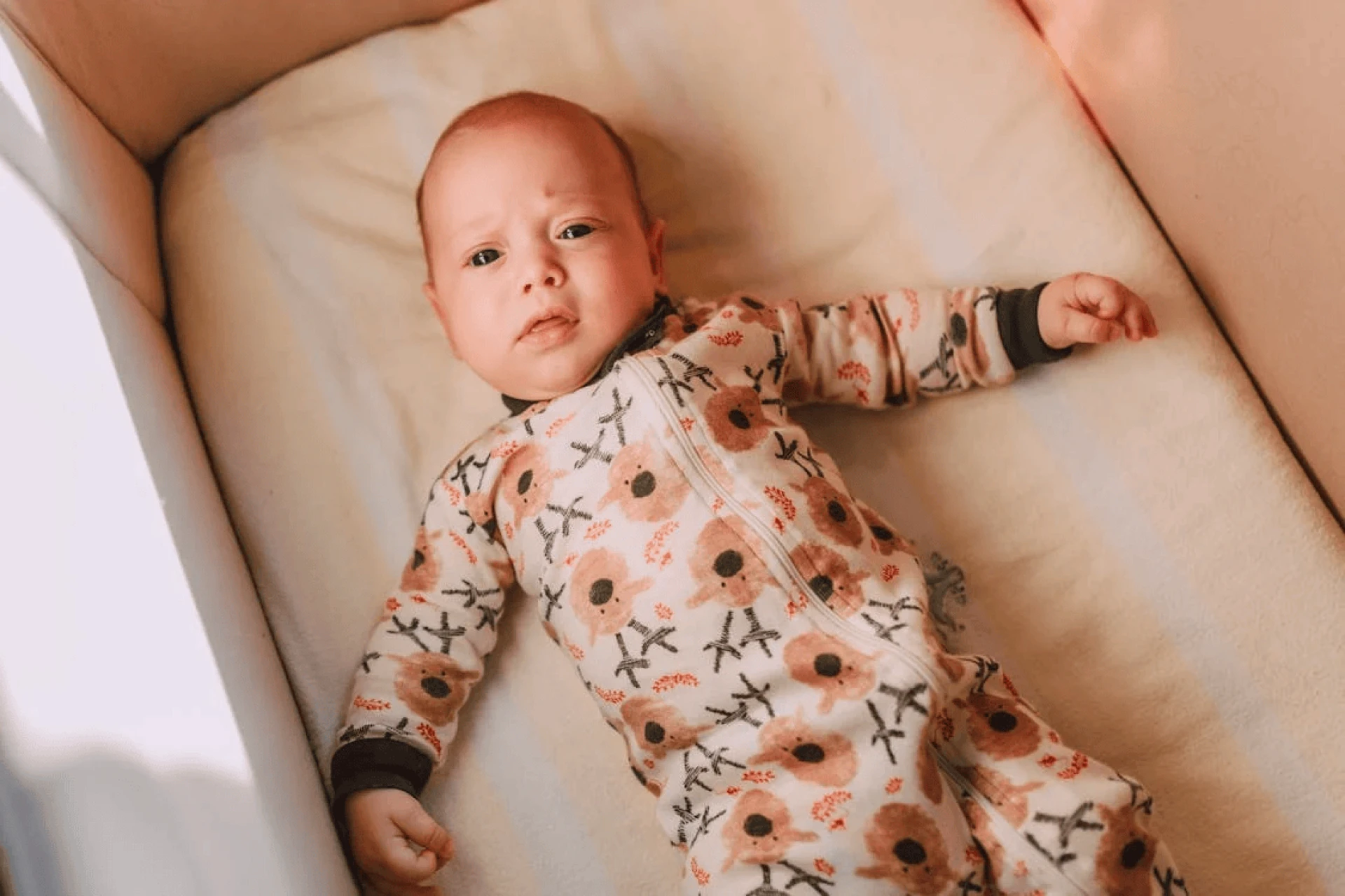 5 Charming Baby Dresses That Are Perfect for Every Special Moment.