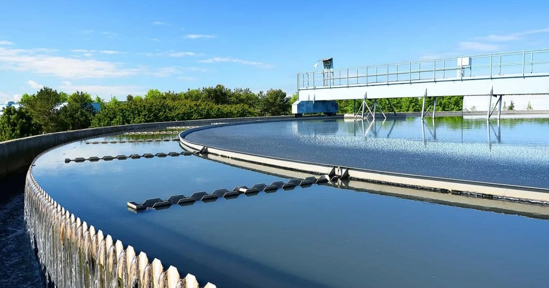 The Benefits of Using Septic Tank Powder from Ecolagro for a Cleaner, Greener En