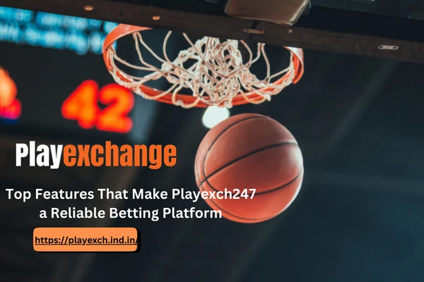 Top Features That Make Playexch24/7 a Reliable Betting Platform
