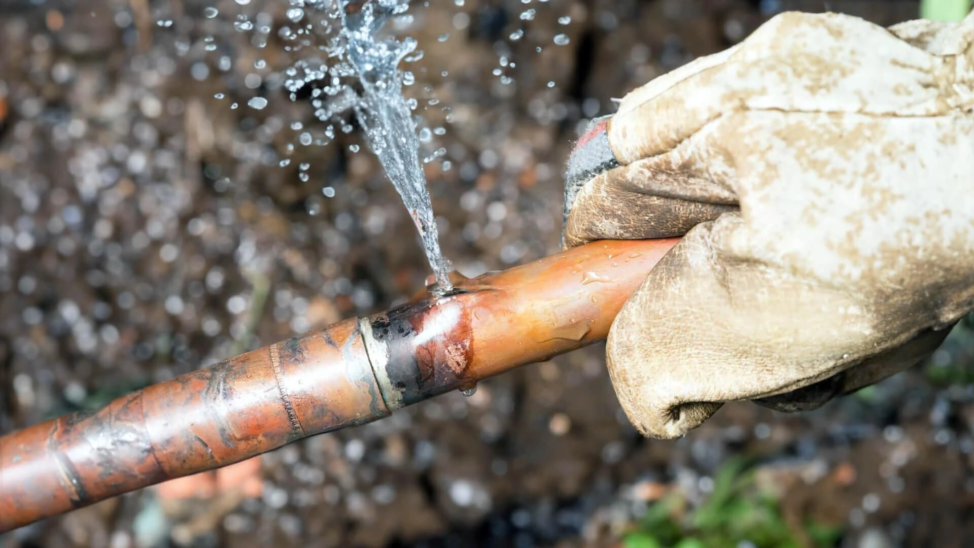 Effective Water Damage Restoration in Anchorage