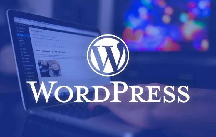 Master WordPress with Our Online Course