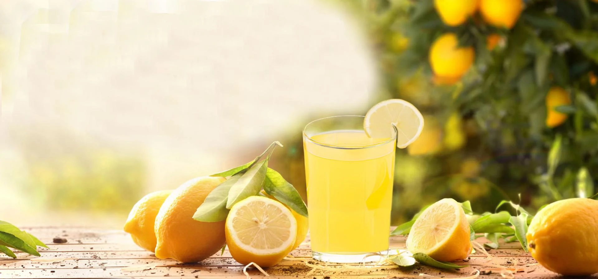 Lemon Juice Concentrate vs. Freshly Squeezed Lemons: Which is Better?
