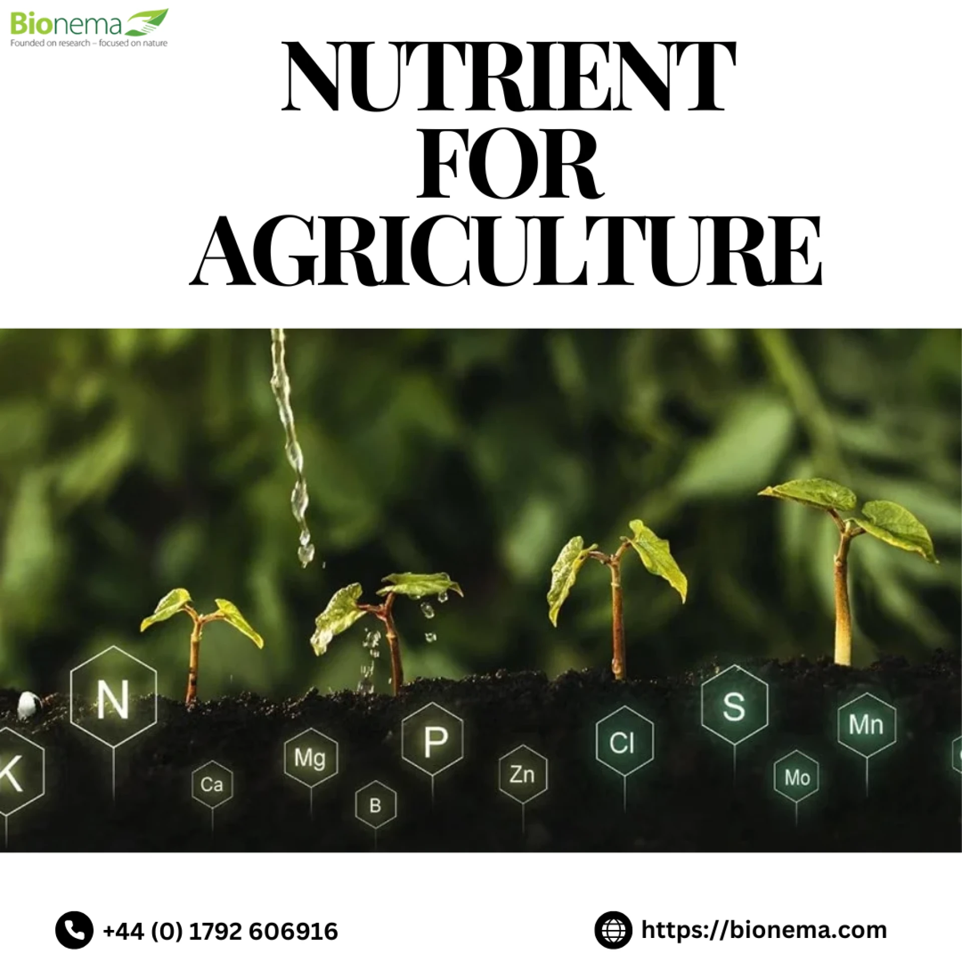 Nutrients for Agriculture with Bionema: Enhancing Crop Health Naturally