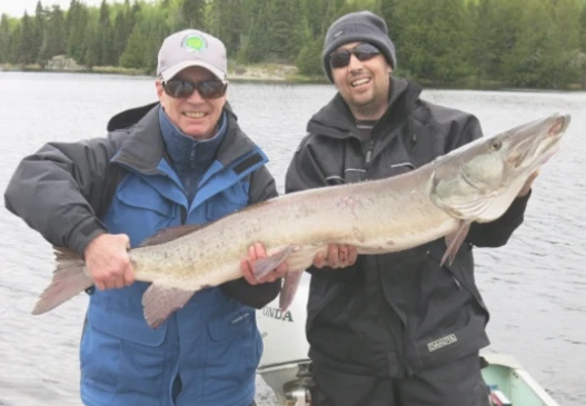 The Ultimate Guide to Fly in Fishing Ontario Tips and Tricks