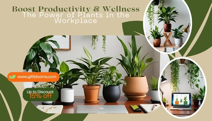 Boost Productivity & Wellness: The Power of Plants in the Workplace
