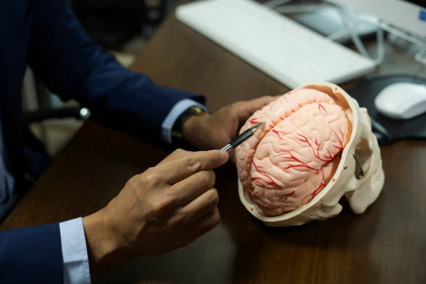 Finding the Best Neurologist in Miranda: Your Guide to Expert Care