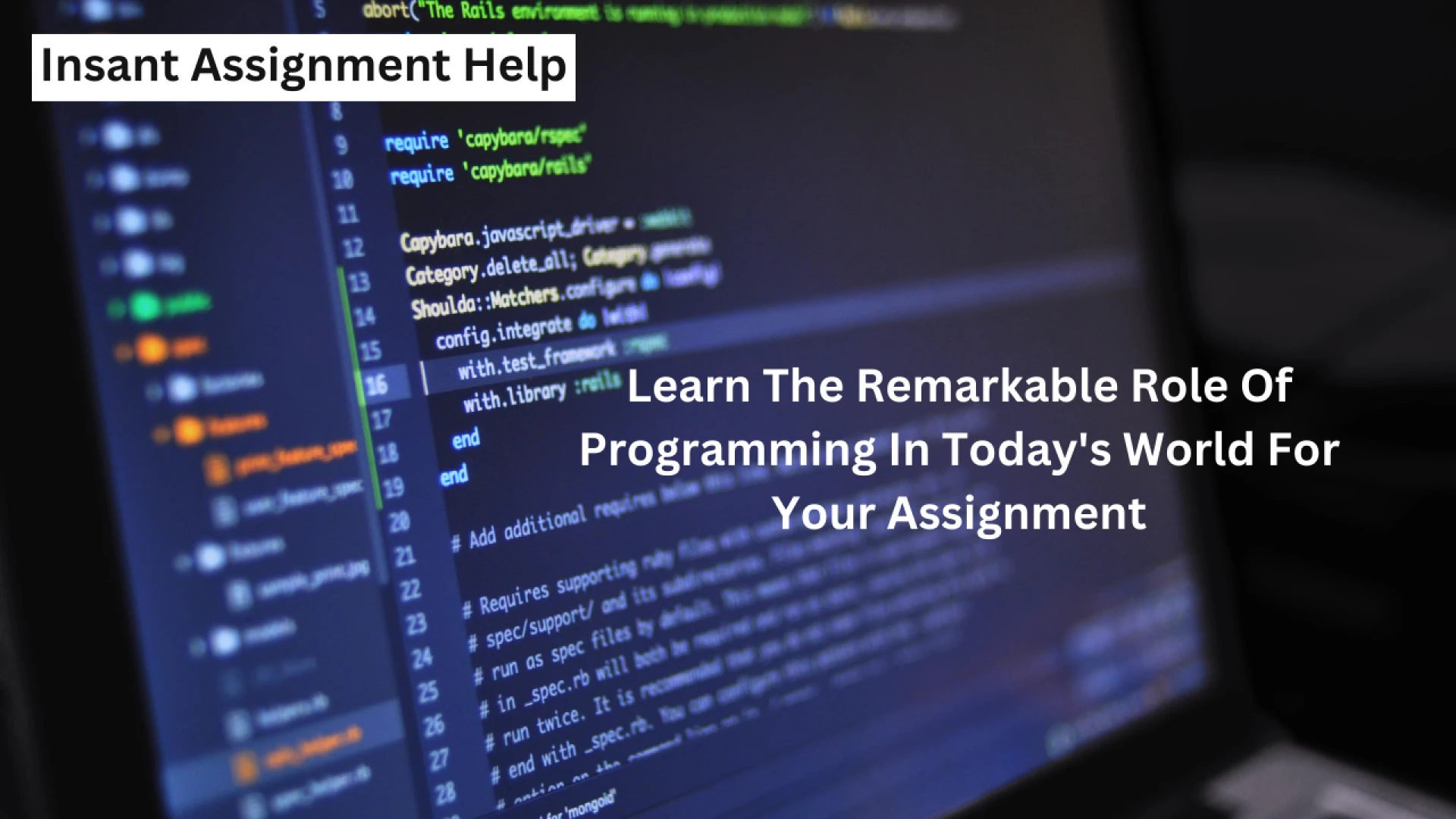 Learn The Remarkable Role Of Programming In Today's World For Your Assignment