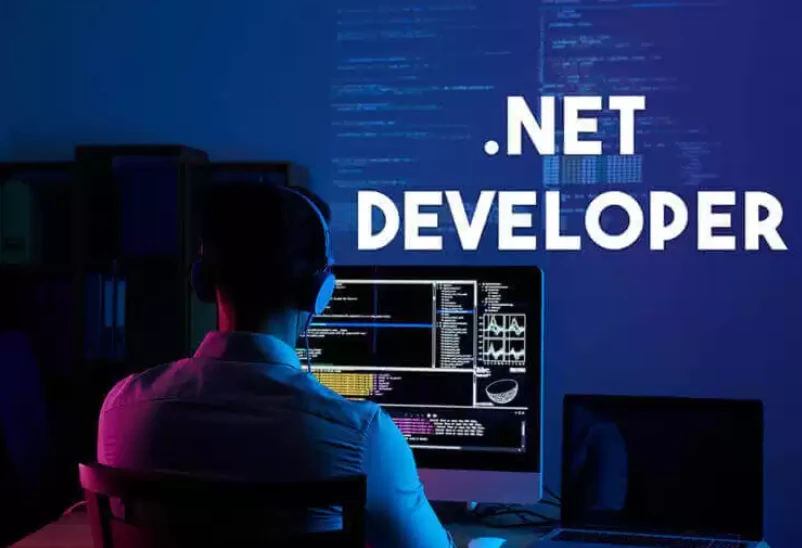 Why Hiring a .NET Developer in the USA Can Boost Your Project Success