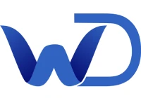 website designing company in delhi india