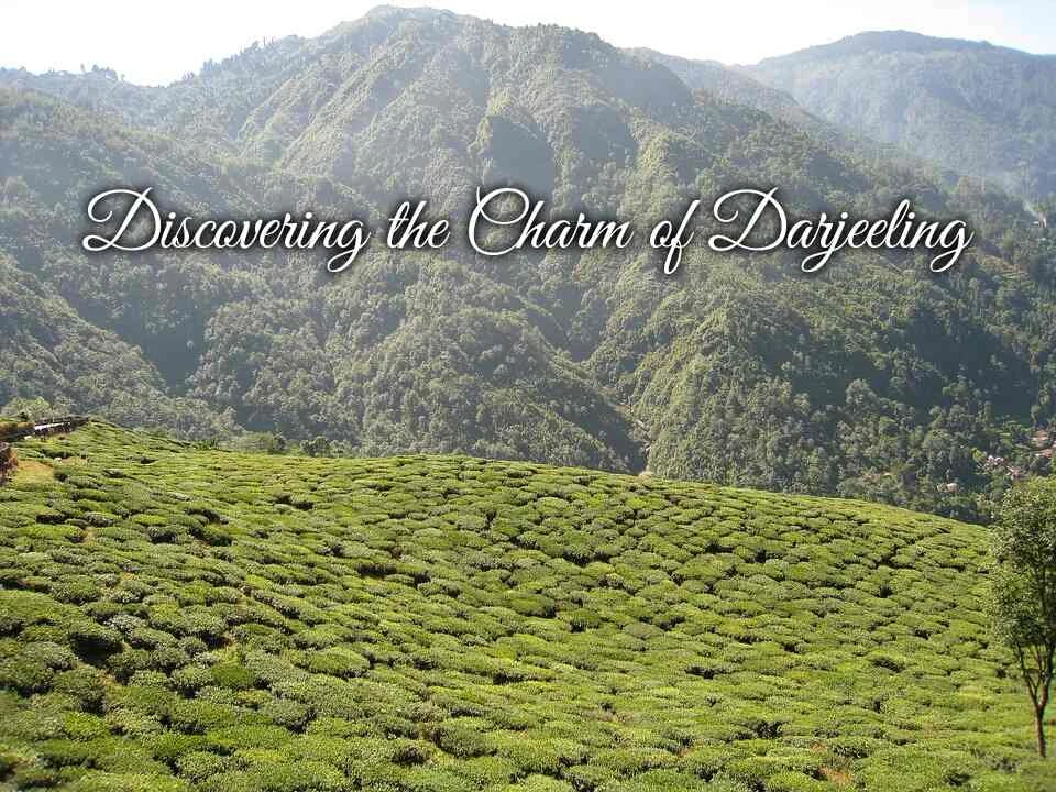 "Discovering the Charm of Darjeeling: A Kolakham Homestay and Tour Experience"