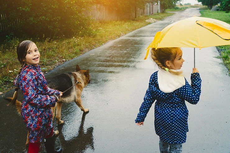 How a Child Custody Lawyer in Edinburgh Can Help You Navigate Family Disputes