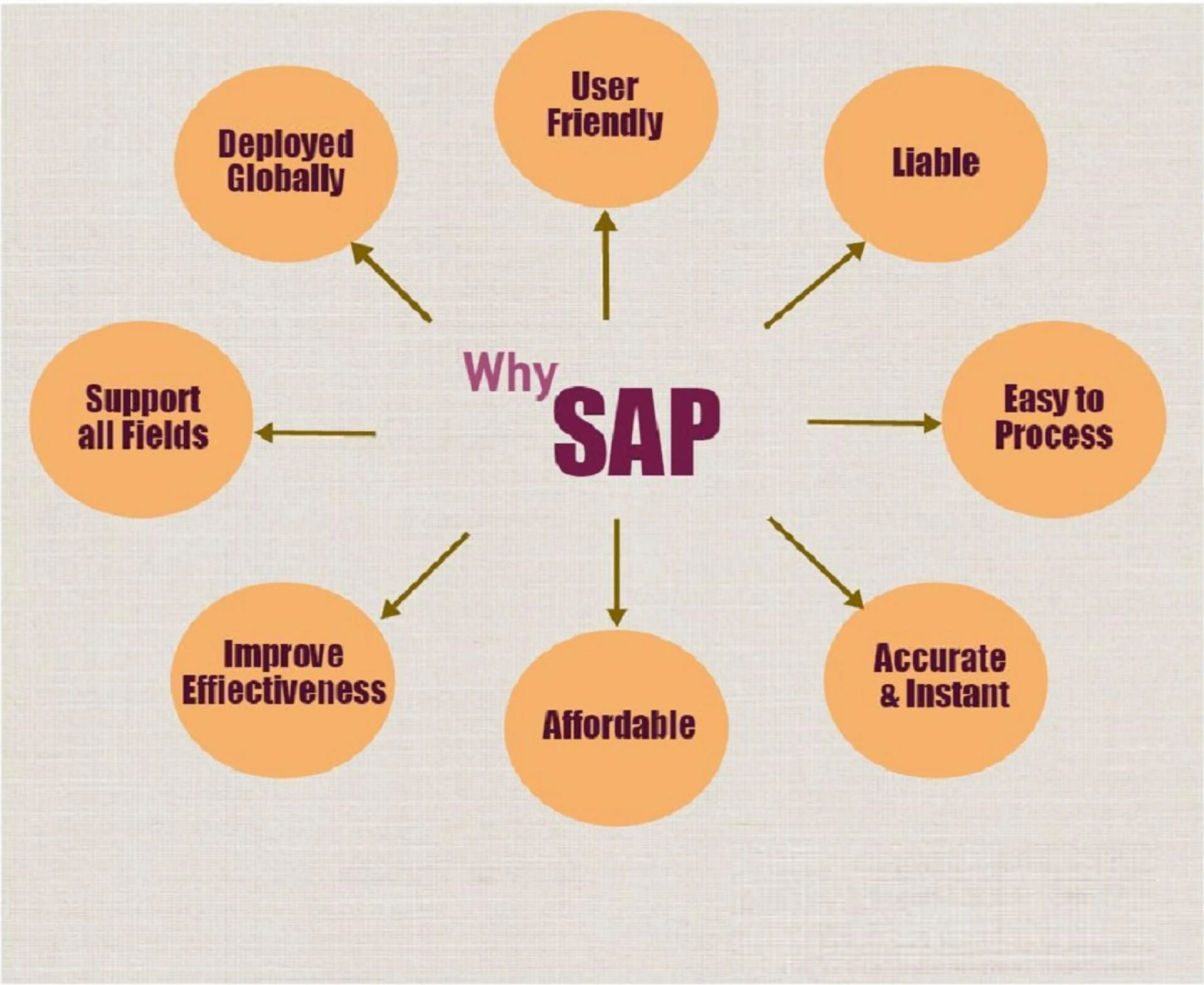 SAP Career Opportunities: What Jobs Can You Get After SAP Training?