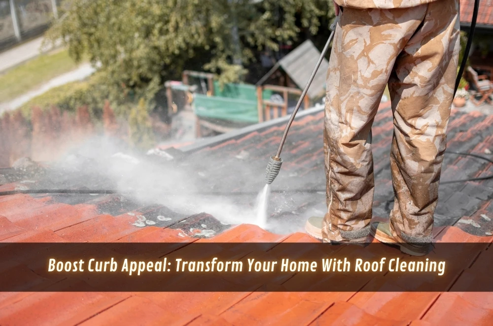 Boost Curb Appeal: Transform Your Home With Roof Cleaning