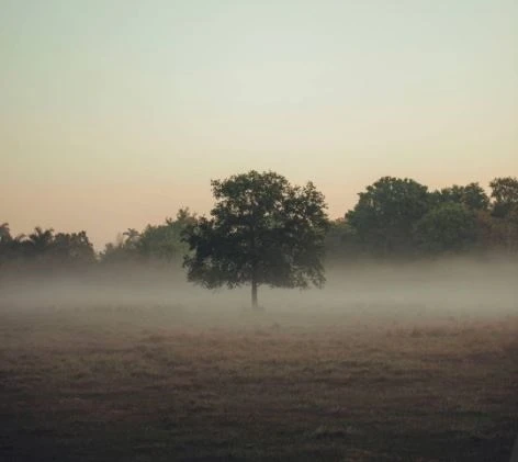 Abandoned Homes in London and Problems Associated with Them 