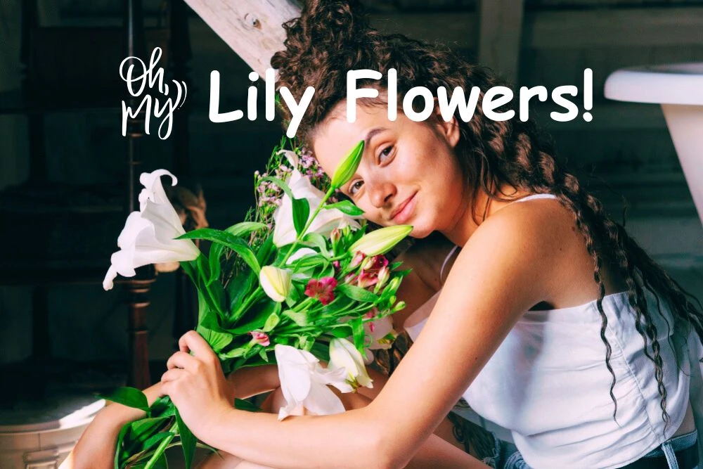 Oh My Lily Flowers! You’re Truly Special