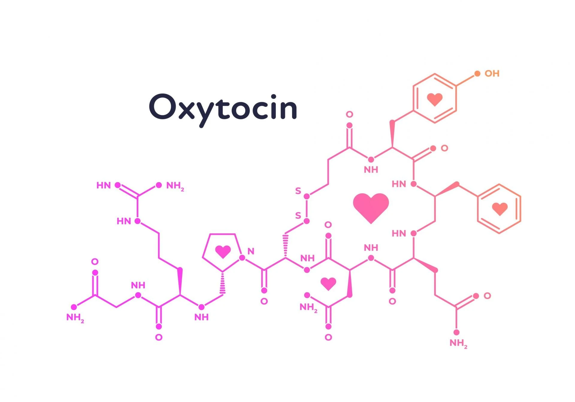 8 Steps to Setup a Oxytocin Manufacturing Plant