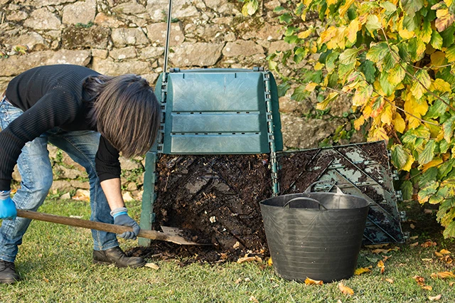 How to Use Compost in Vegetable Gardening: Key Tips and Tricks