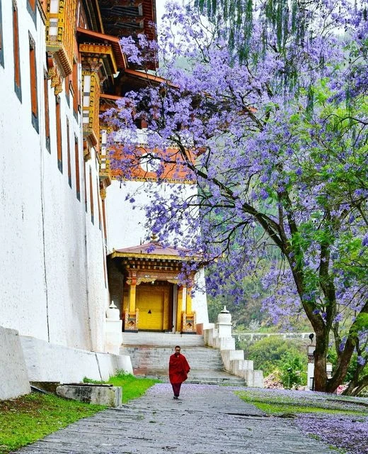 Bhutan Package Tour from Guwahati Airport 