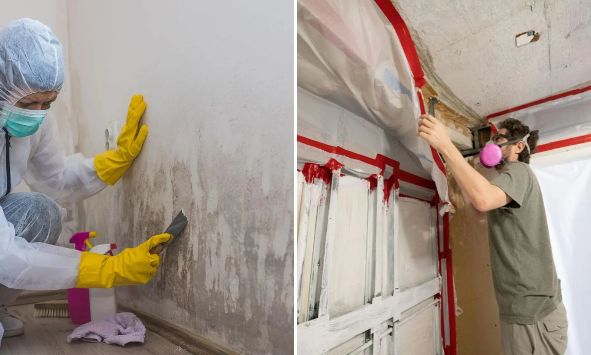 Mold Inspection: Signs You Need a Professional
