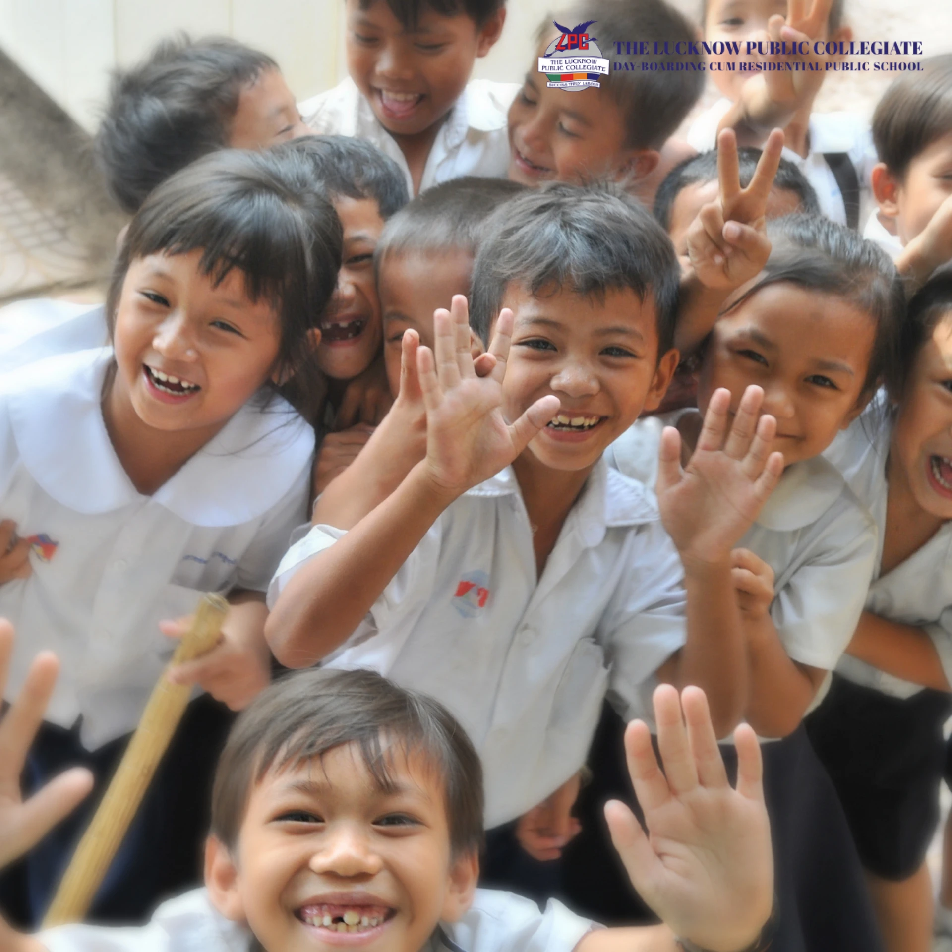 Government vs. Private Scholarships: What Are the Differences?