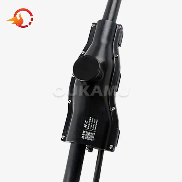 Anethum Graveolens Extract