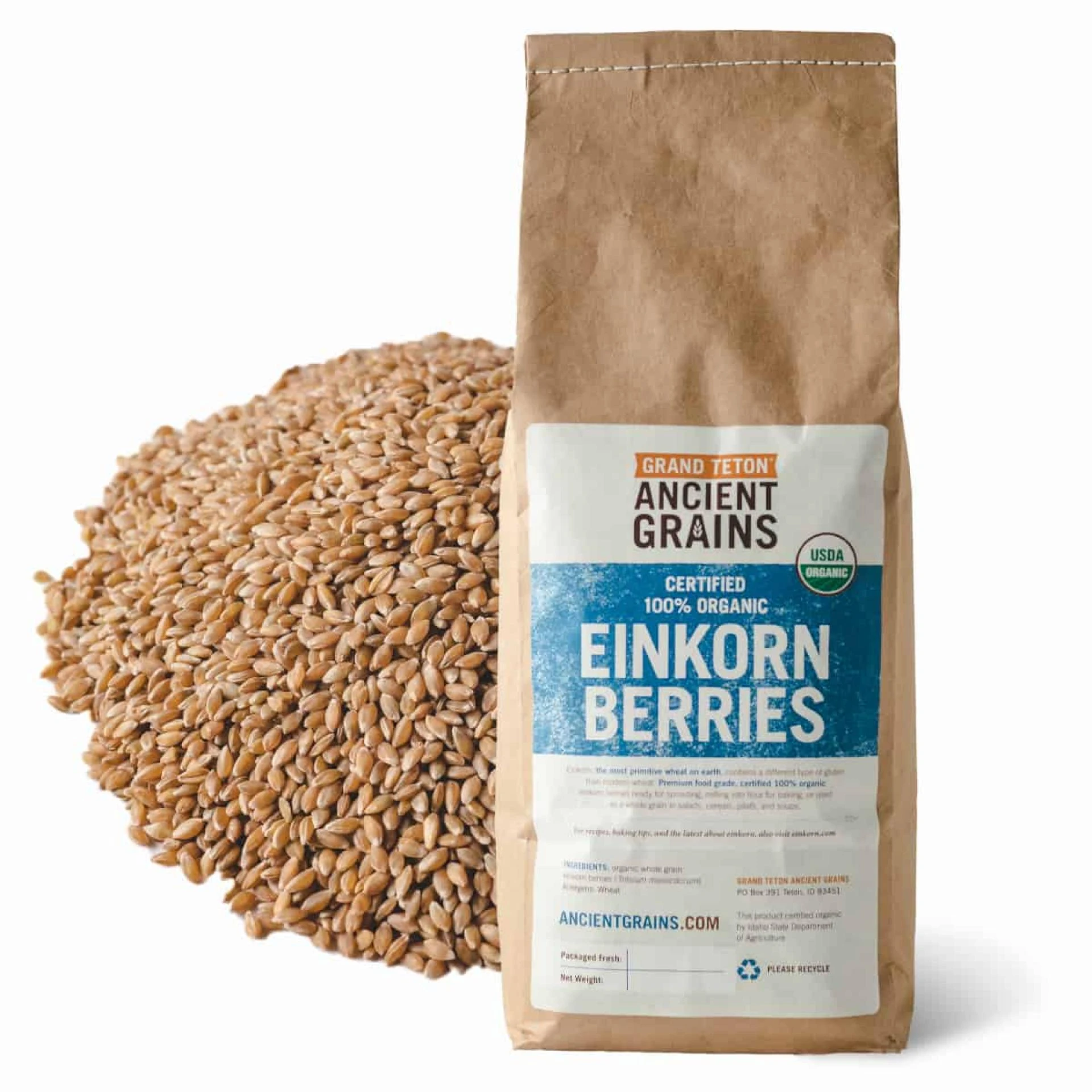 Nutrient-Dense Einkorn Wheat Berries – A Healthier Substitute for Current Wheat