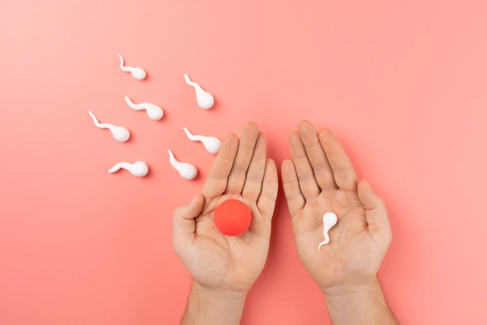 IUI เหมาะกับใคร? ใครบ้างที่ควรเลือกใช้วิธีนี้