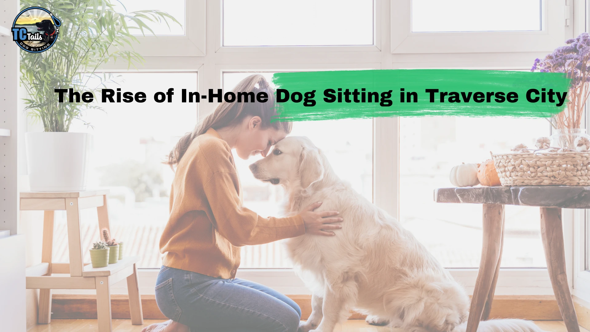 Rise of In-Home Dog Sitting in Traverse City | TC Tails Services