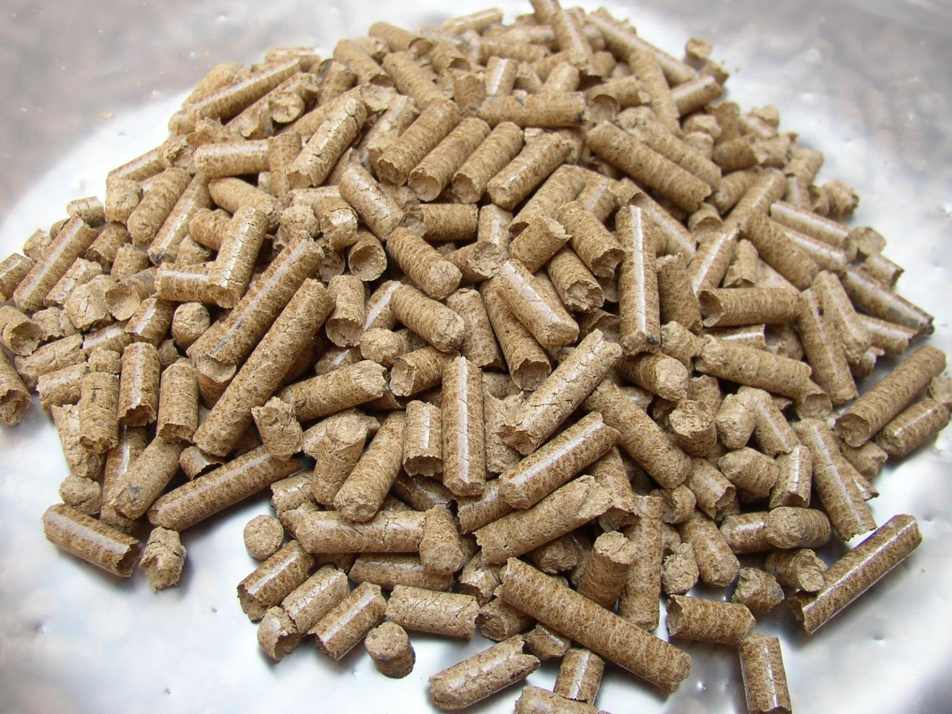 Why Industries Are Switching to Biomass Briquettes for Energy