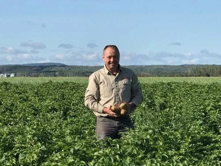 What Makes Farm-Fresh Vegetables Better for Your Health?