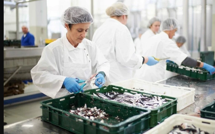 The Importance of Waterproof Workwear in the Fishery Industry 