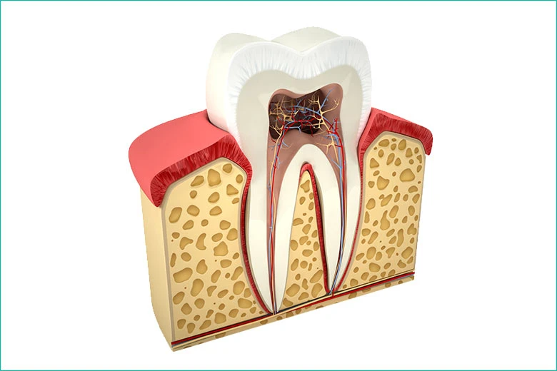 Root canal treatment in Toronto: a complete guide to saving your tooth