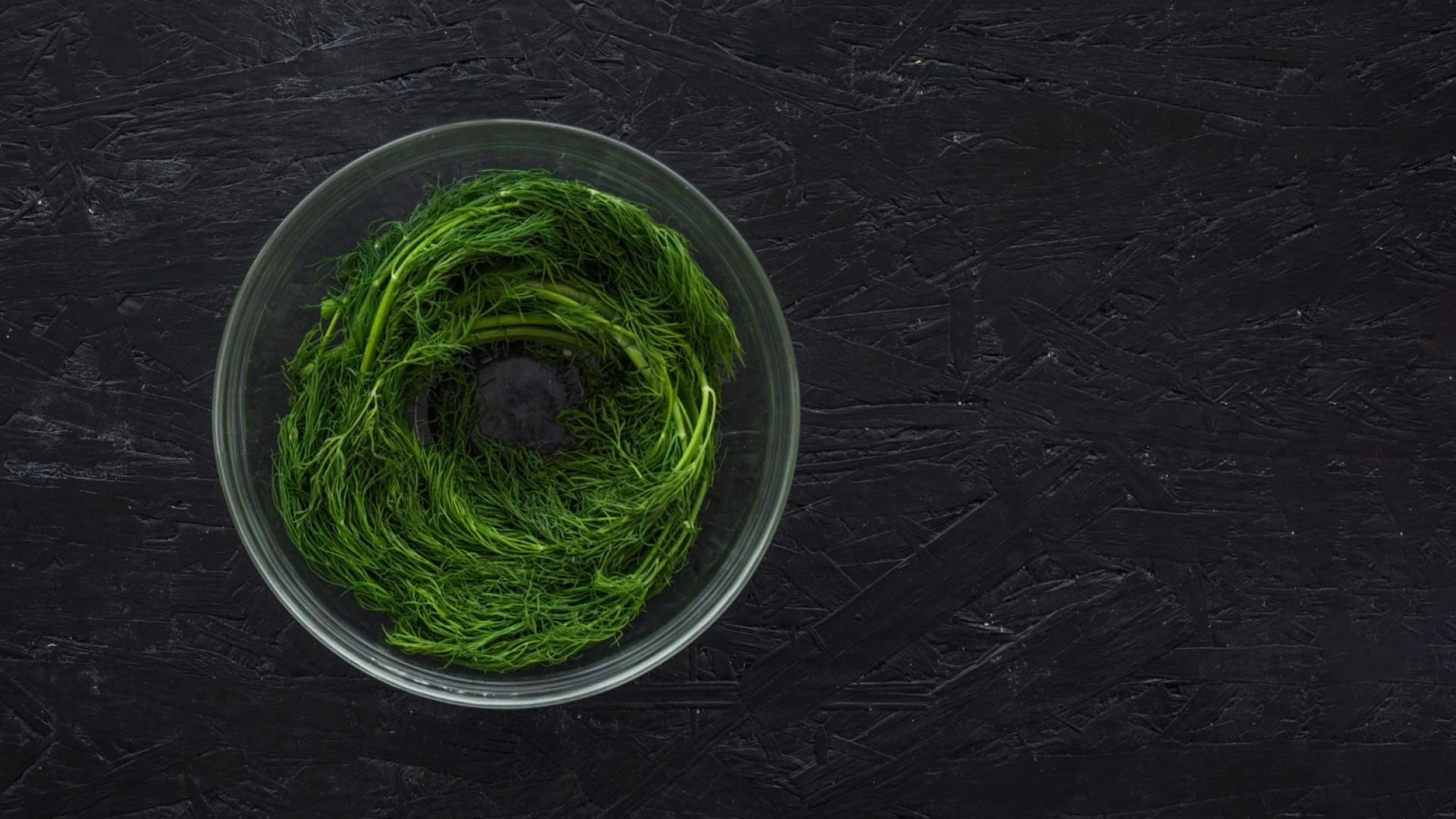 Irish Sea Moss vs. Other Types – Which Is Best for Your Brand?