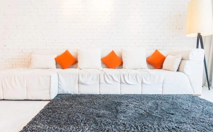 Indoor Entryway Rugs That Catch Dirt & Compliments