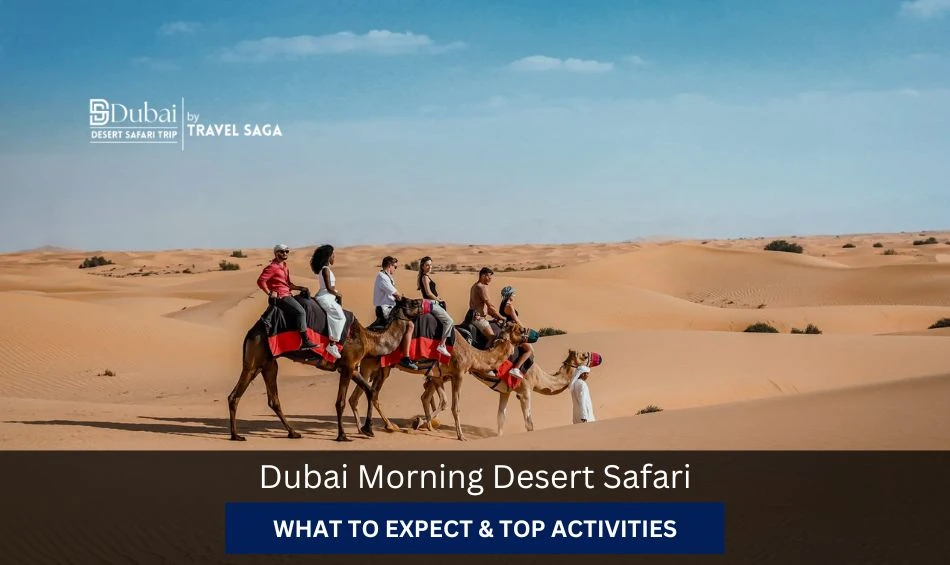 Dubai Morning Desert Safari: What to Expect & Top Activities