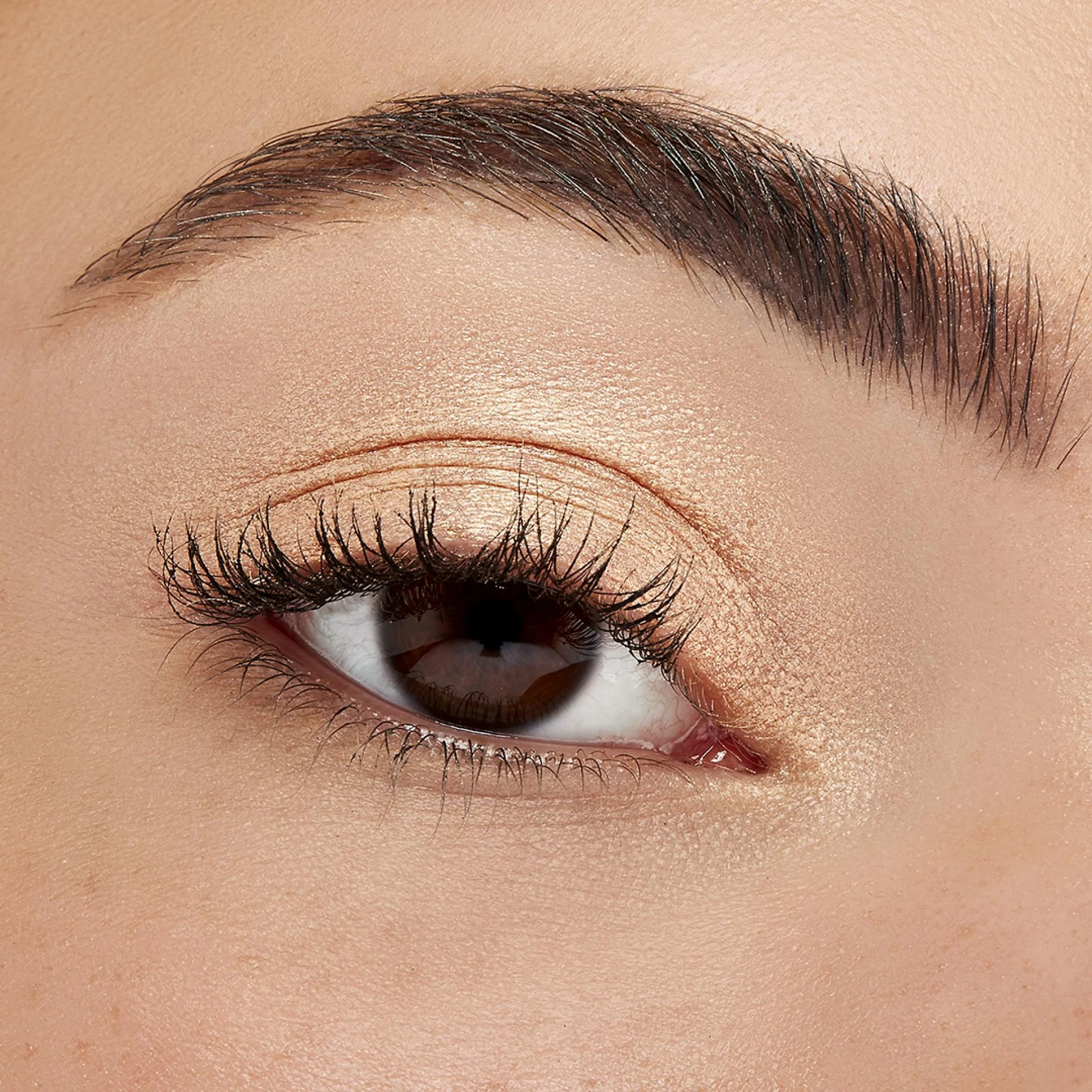 Why Eye Primers Are a Must for Beauty Enthusiasts