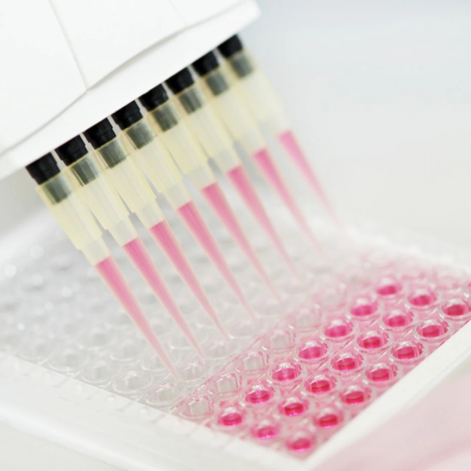 ELISA Test Kit: A Reliable Solution for Biomolecule Detection